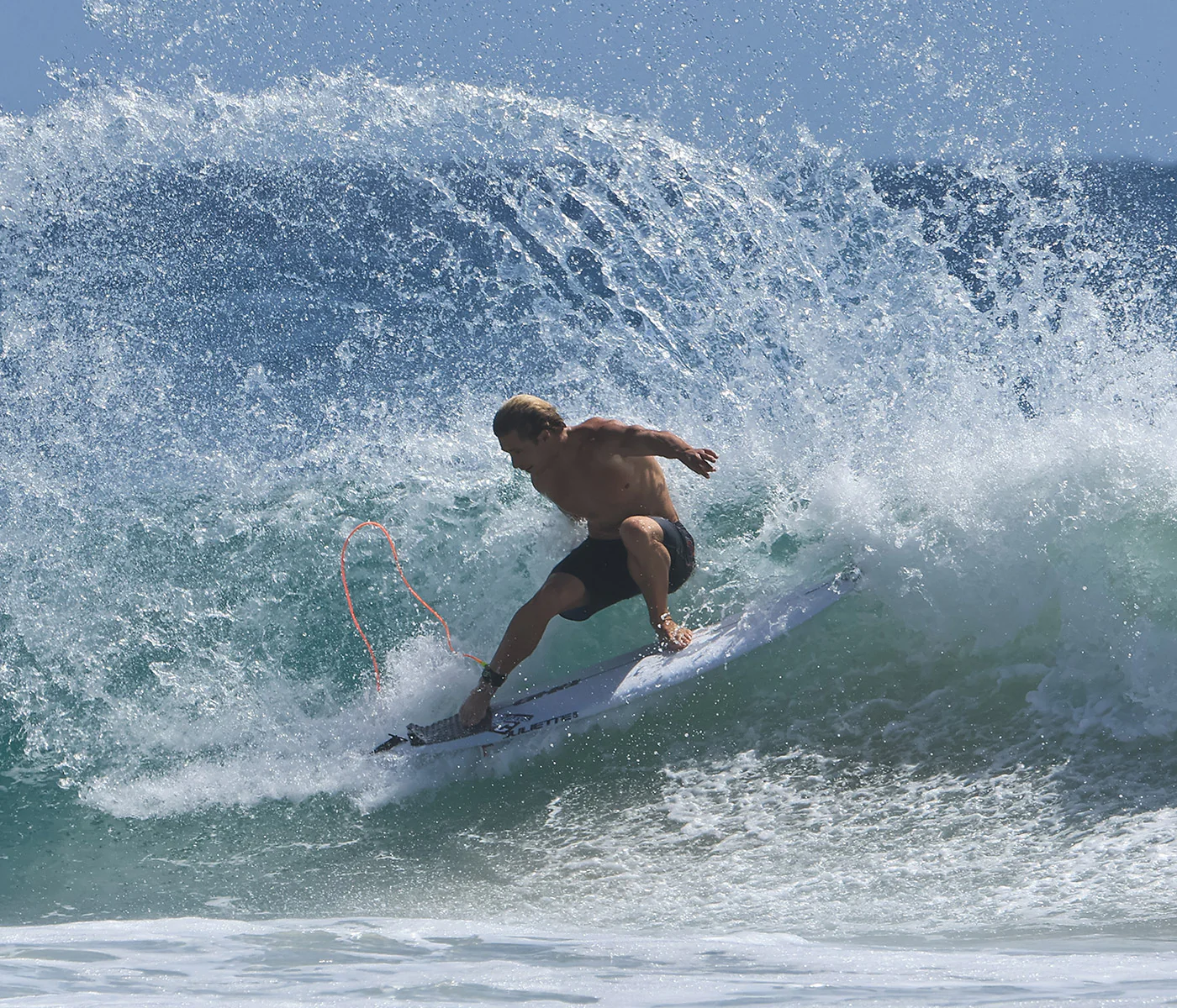 Ethan Ewing Signature Fiberglass (L) - Image 4